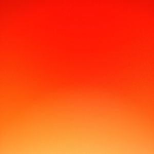 Meet your Posher, Ella